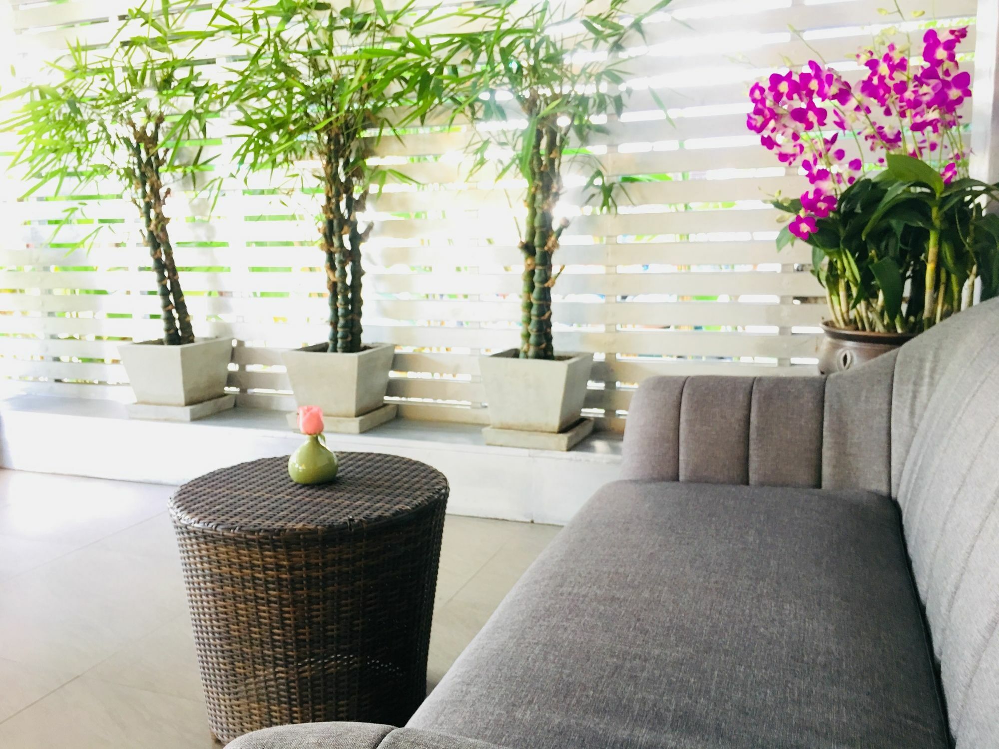 Kavil Guesthouse Chiang Mai Eksteriør bilde